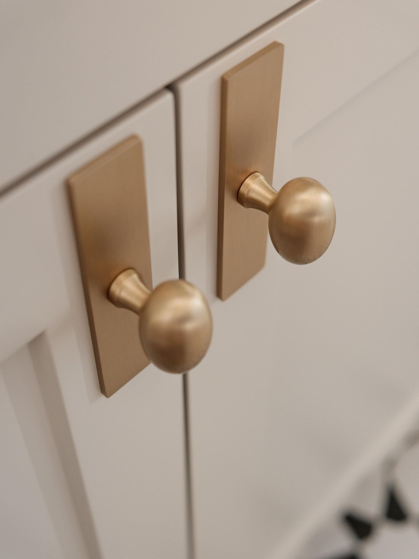 Oval Knob with Backplate
