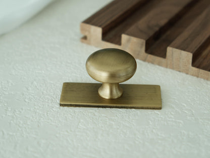 Lennox Knob with backplate
