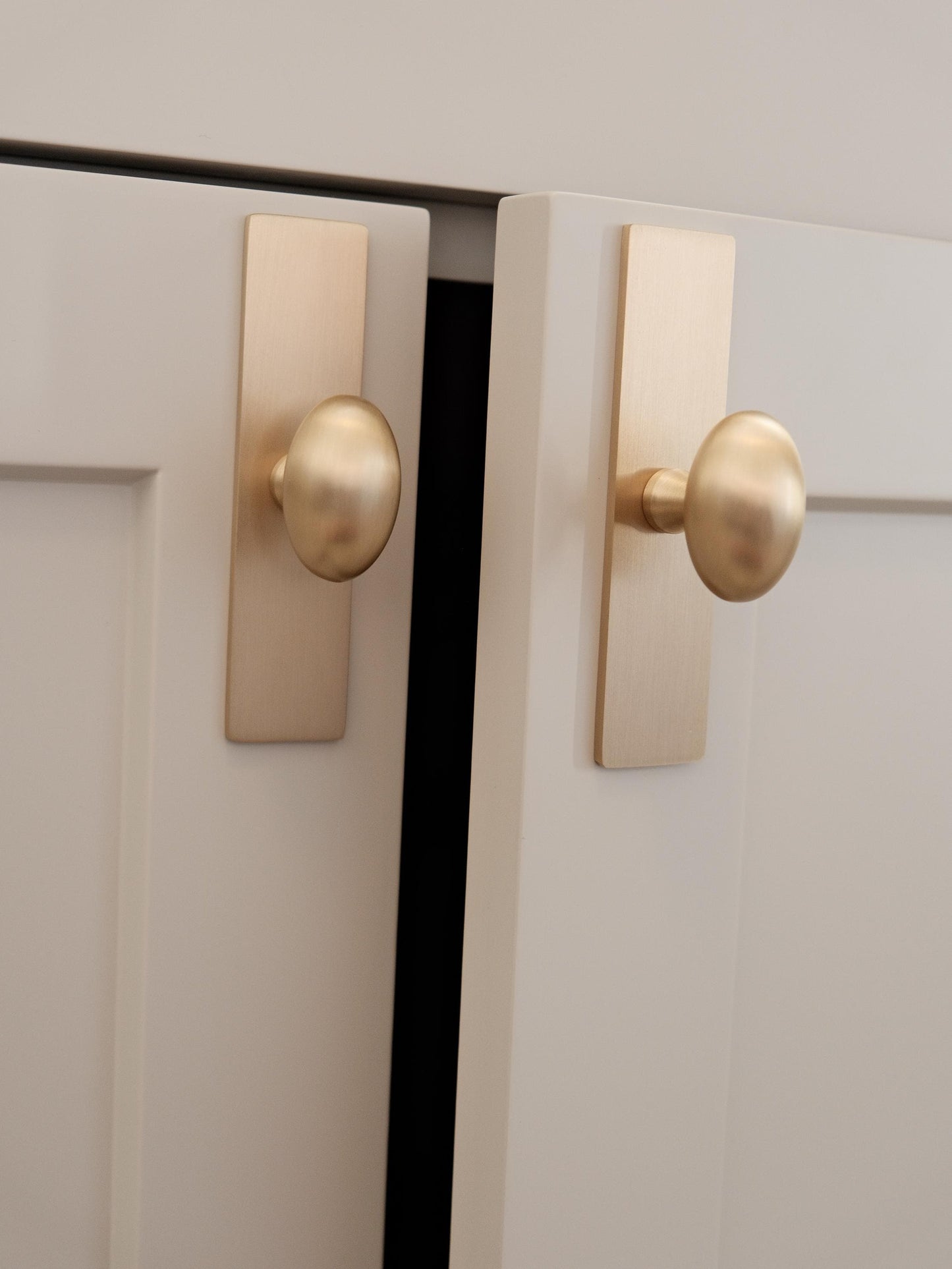 Oval Knob with Backplate