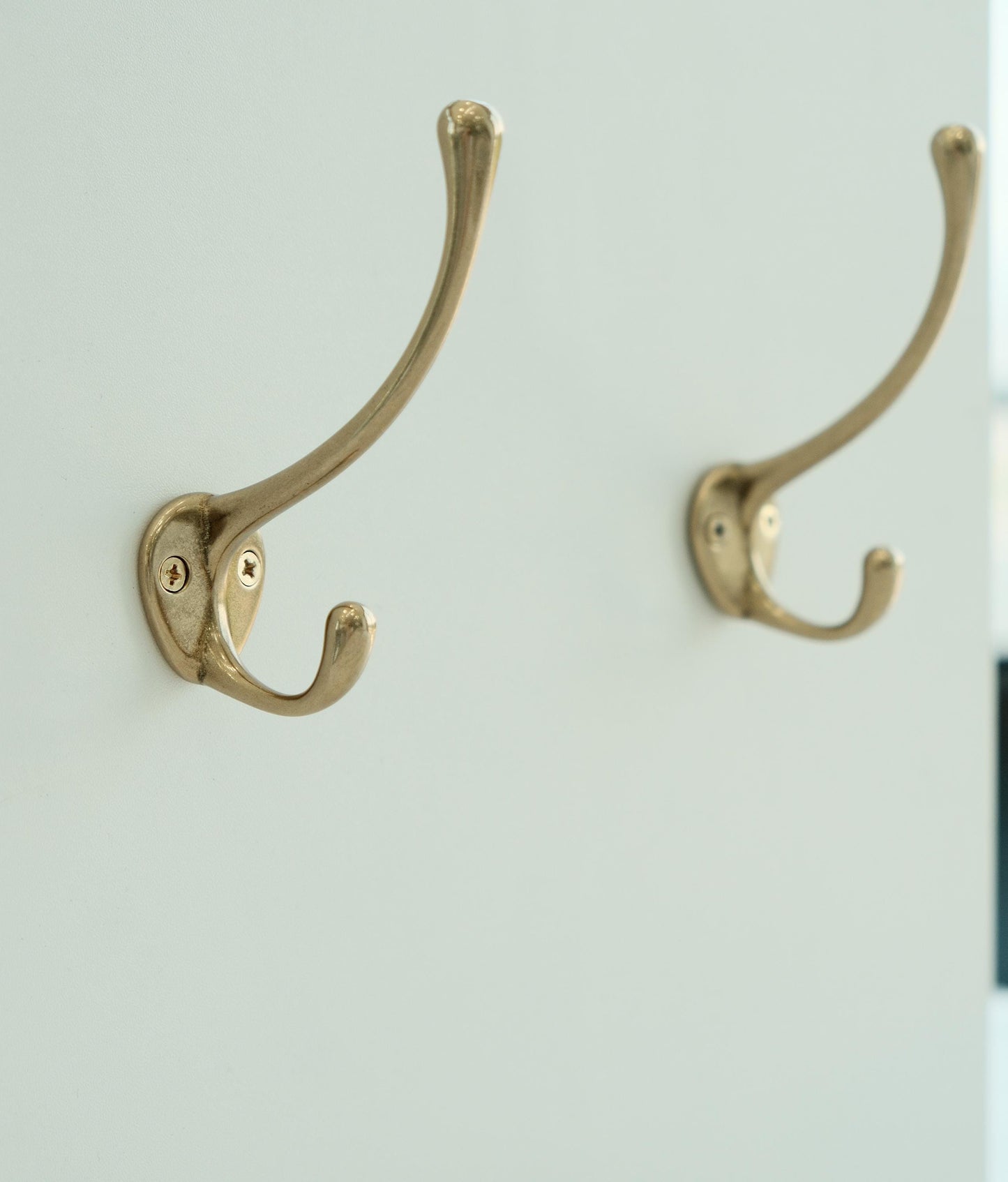 Ridgon Hook